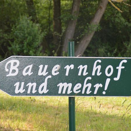 Kleine Einzigartige Ferienwohnung Auf Dem Bauernhof, Direkt In Der Natur Mit Blick Auf Schloss Braunfels Dış mekan fotoğraf