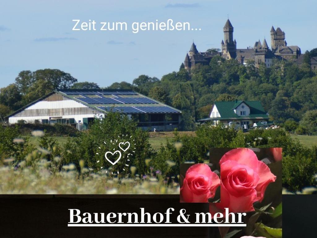 Kleine Einzigartige Ferienwohnung Auf Dem Bauernhof, Direkt In Der Natur Mit Blick Auf Schloss Braunfels Dış mekan fotoğraf