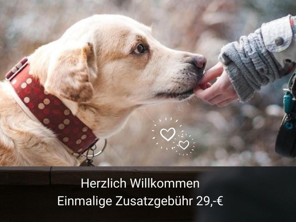 Kleine Einzigartige Ferienwohnung Auf Dem Bauernhof, Direkt In Der Natur Mit Blick Auf Schloss Braunfels Dış mekan fotoğraf