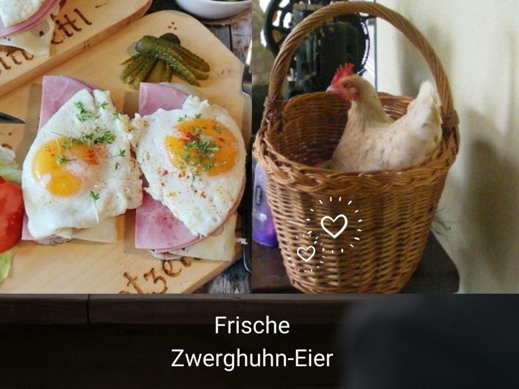 Kleine Einzigartige Ferienwohnung Auf Dem Bauernhof, Direkt In Der Natur Mit Blick Auf Schloss Braunfels Dış mekan fotoğraf