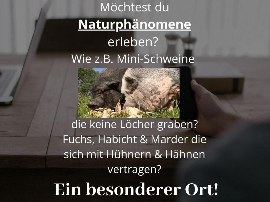 Kleine Einzigartige Ferienwohnung Auf Dem Bauernhof, Direkt In Der Natur Mit Blick Auf Schloss Braunfels Dış mekan fotoğraf