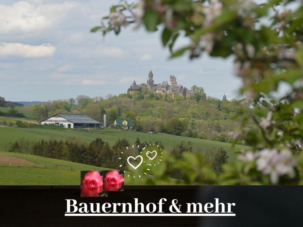 Kleine Einzigartige Ferienwohnung Auf Dem Bauernhof, Direkt In Der Natur Mit Blick Auf Schloss Braunfels Dış mekan fotoğraf
