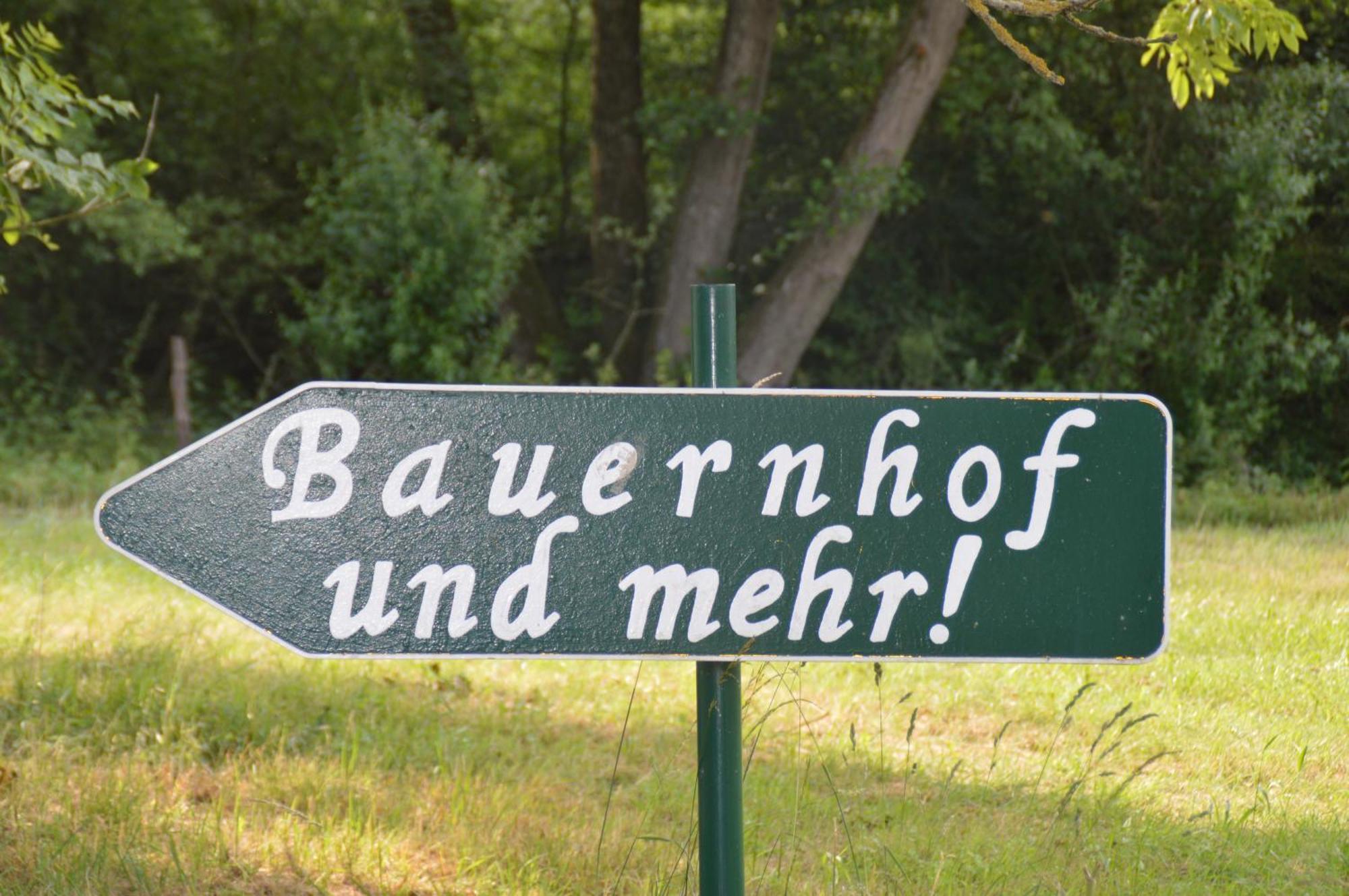 Kleine Einzigartige Ferienwohnung Auf Dem Bauernhof, Direkt In Der Natur Mit Blick Auf Schloss Braunfels Dış mekan fotoğraf