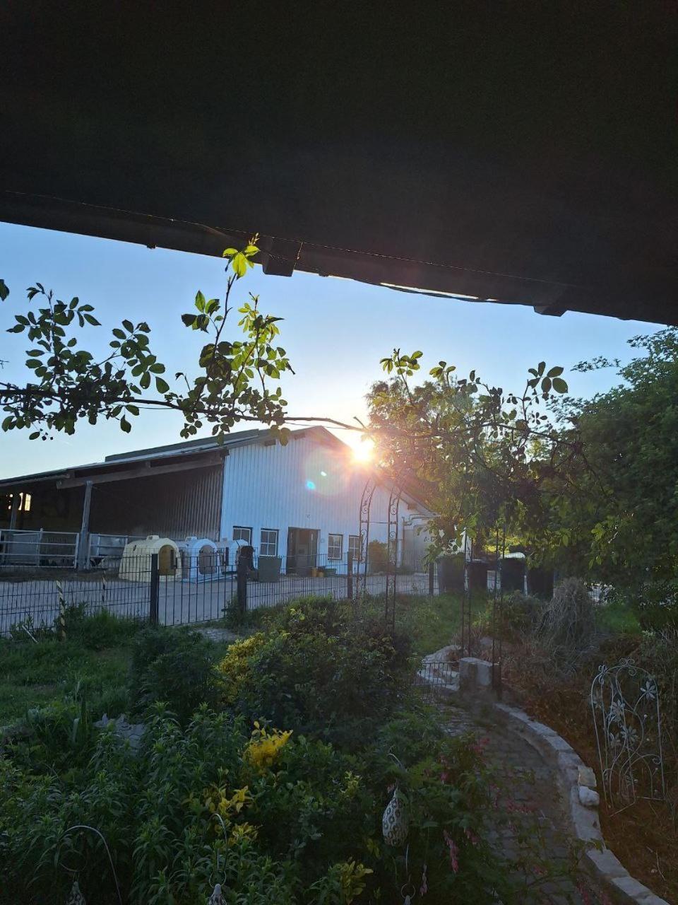 Kleine Einzigartige Ferienwohnung Auf Dem Bauernhof, Direkt In Der Natur Mit Blick Auf Schloss Braunfels Dış mekan fotoğraf